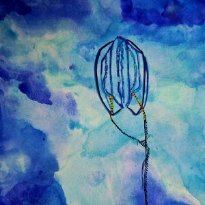 Cténophore des eaux paisibles